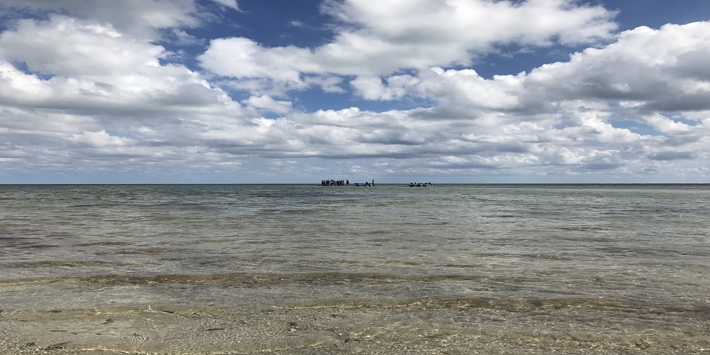 Key Biscayne, Biscayne Bay, and Water Quality